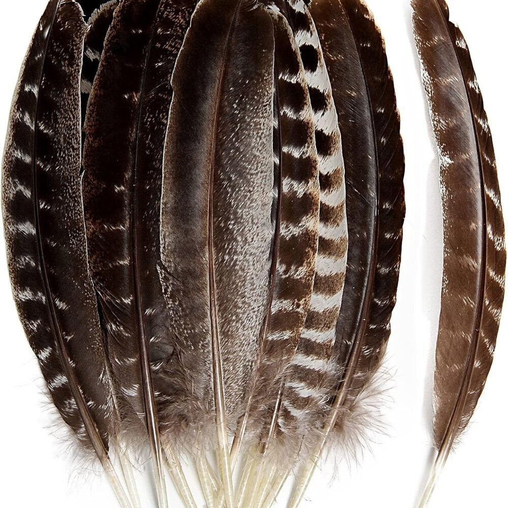 24pcs Natural Wild Turkey Wing Feathers Quill Bulk 12- 30-35cm for DIY Crafts Pr